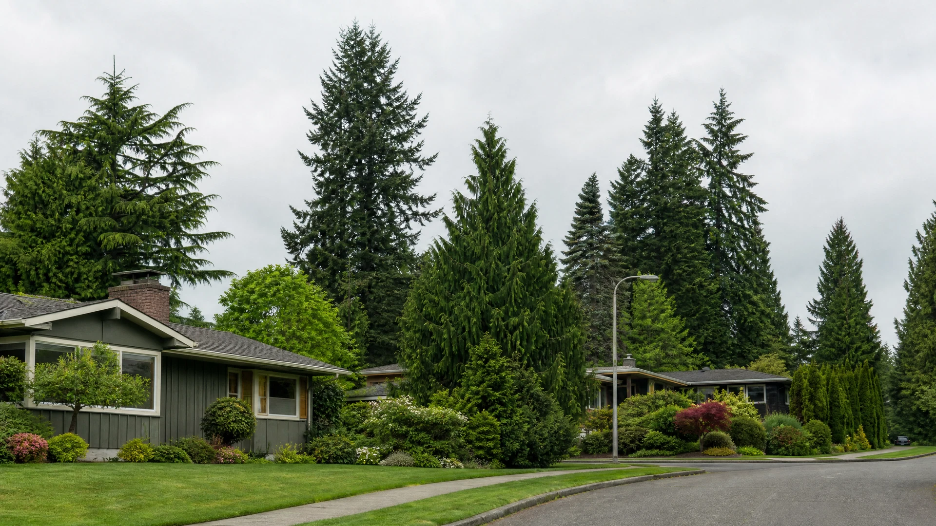 Shoreline, WA neighborhood